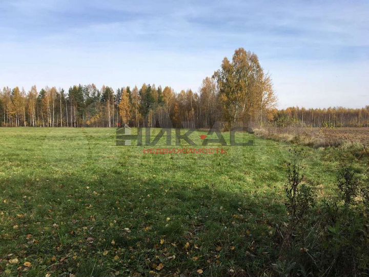 Участок 2,5 га (личное подсобное хозяйство (лпх))