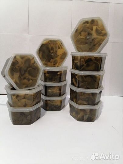 Моховик маринованный