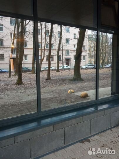 Клининг уборка квартир