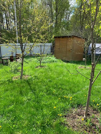 Дача 44 м² на участке 5,6 сот.