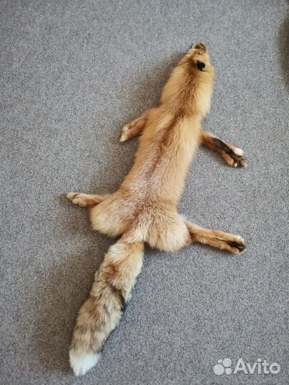 Шкурки соболей и лисы