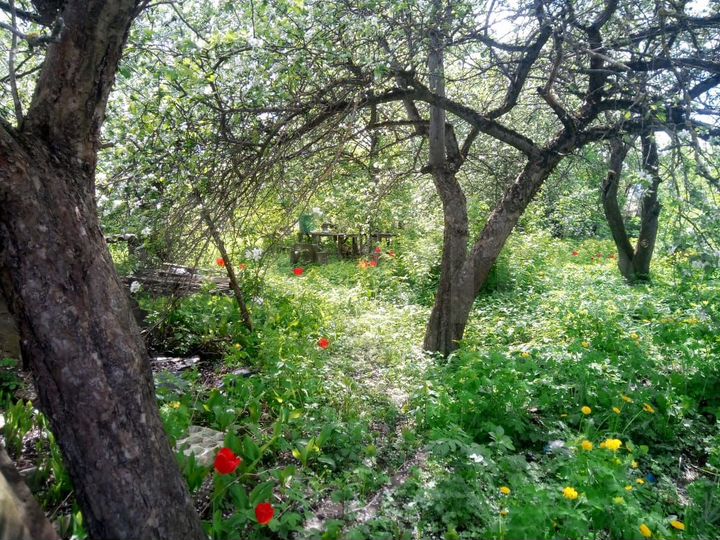 Участок 7 сот. (ИЖС)