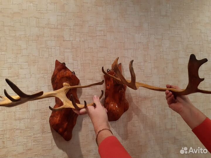 Красивые рога оленя