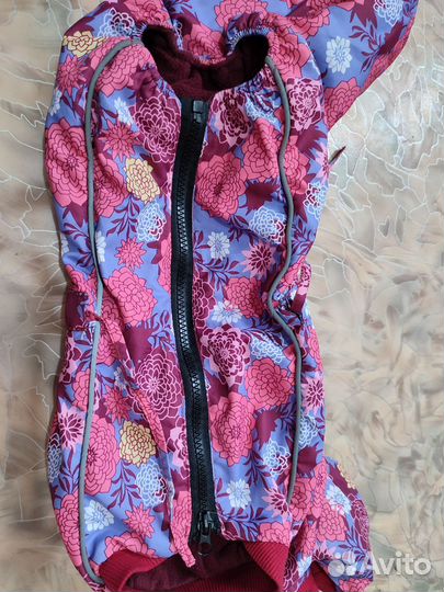 Костюм для собаки 30см