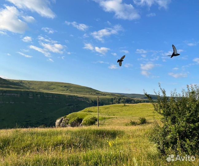 Кисловодск Топ-Экскурсия Живописные окрестности Ки