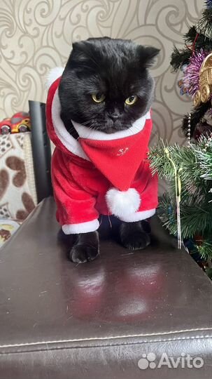 Шапка новогодняя для животного