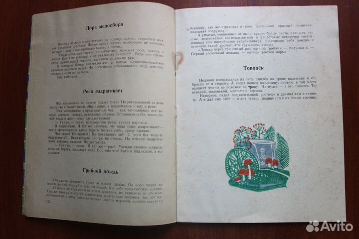 Волокитин Н. Лесные подарки.1973г