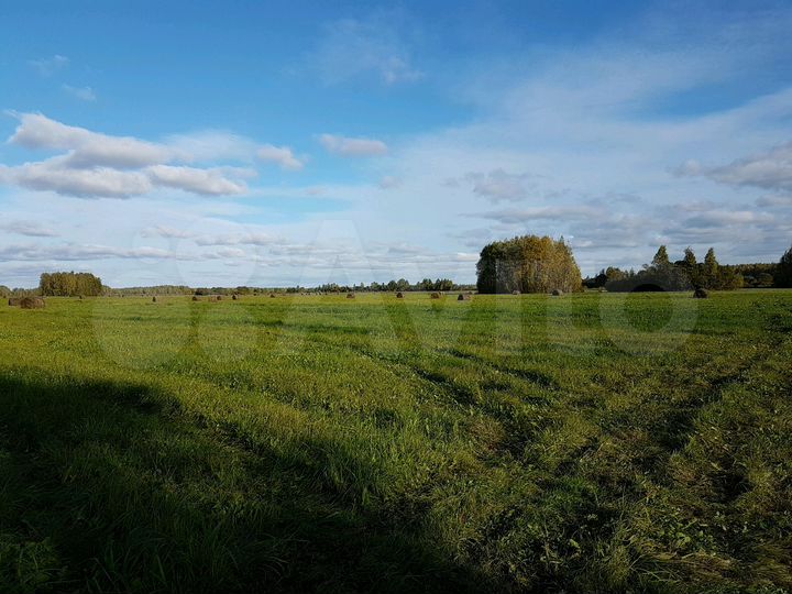 Участок 32,35 га (СНТ, ДНП)