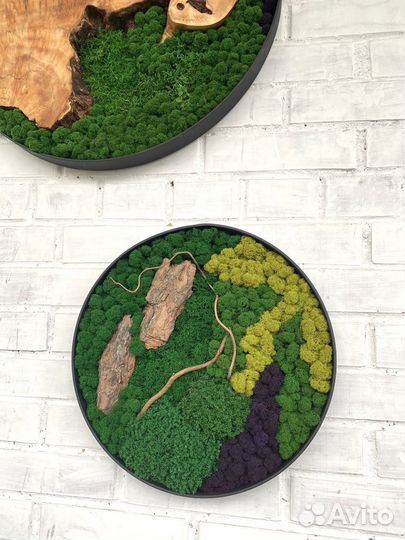 Стабилизированный мох