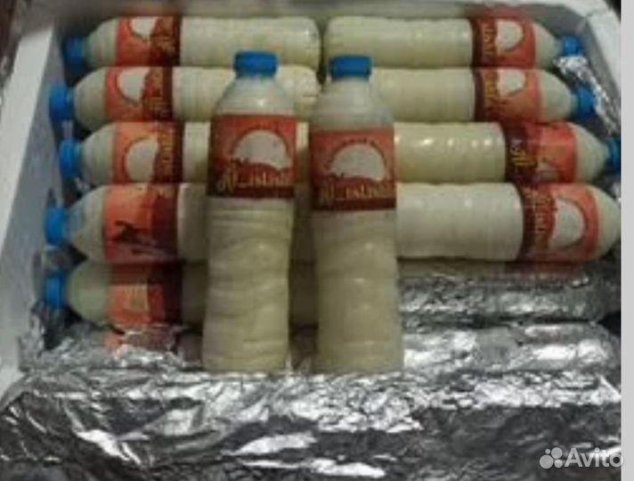 Верблюжее молоко