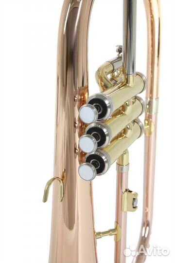 Флюгельгорн Roy Benson FH-302G