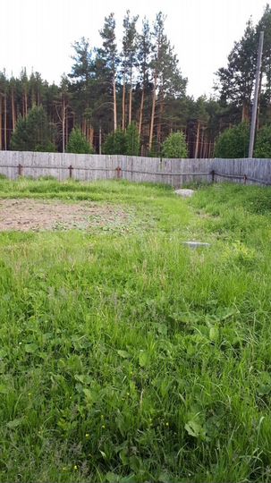 Участок 10 сот. (ИЖС)