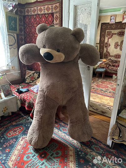 Плюшевый медведь