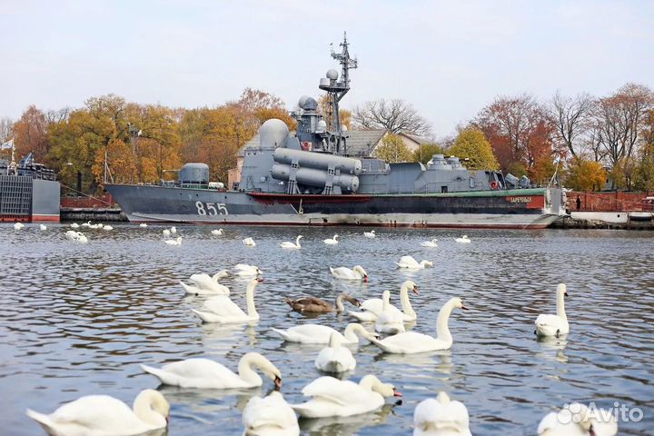 Морские прогулки на катере. Балтийск