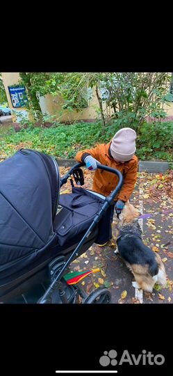 Коляска 2 в 1 Pituso Luna