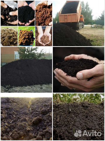 Чернозем, навоз,перегной, земля, плодородный грунт