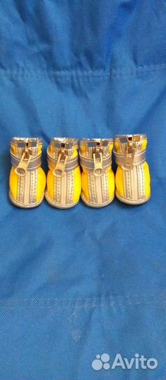 Обувь для маленьких собак