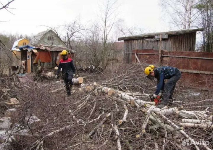 Расчистка участка, покос, вспашка, вырубка