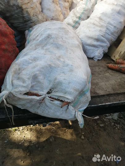 Картофель, морковь