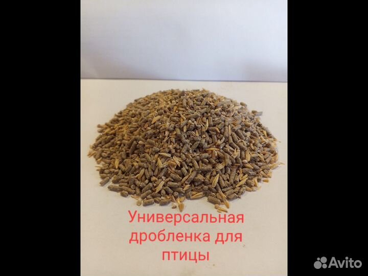 Бройлеры, корм для бройлеров