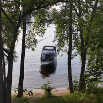 Катер беркут L - HT Open 2025