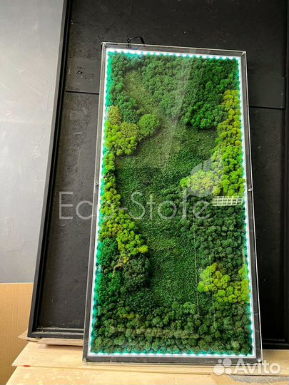 Панно из мха с подсветкой со стеклом