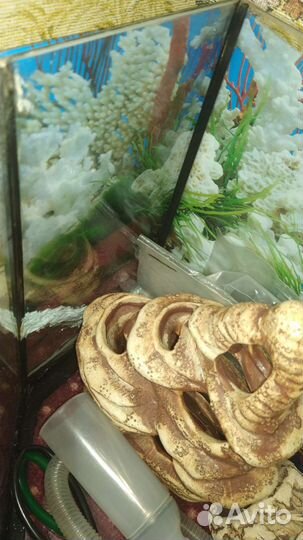 Аквариум с наполнением 40 л