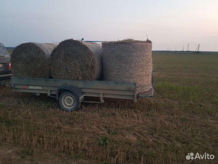 Солома пшеничная в тюках, сено, сенаж