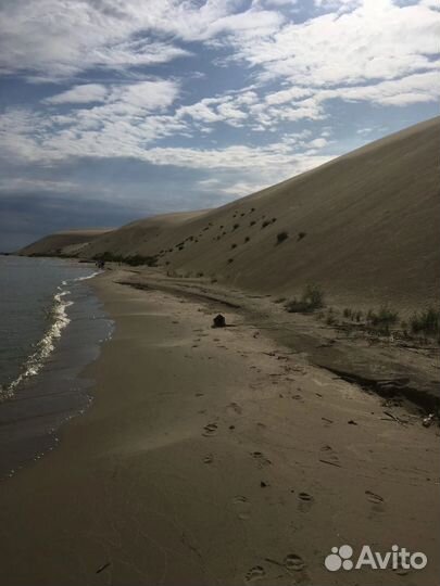 Экскурсии на Куршскую Косу