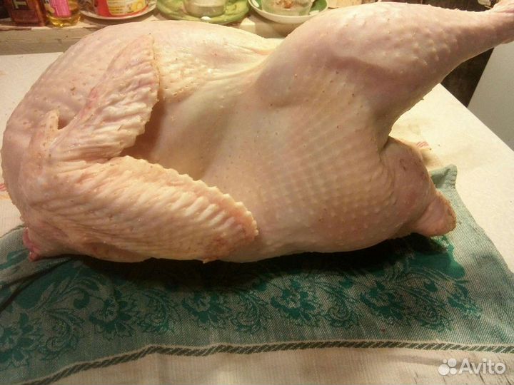 Мясо домашней индейки