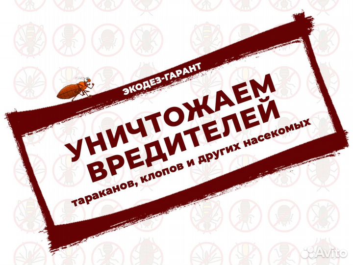 Уничтожение насекомых