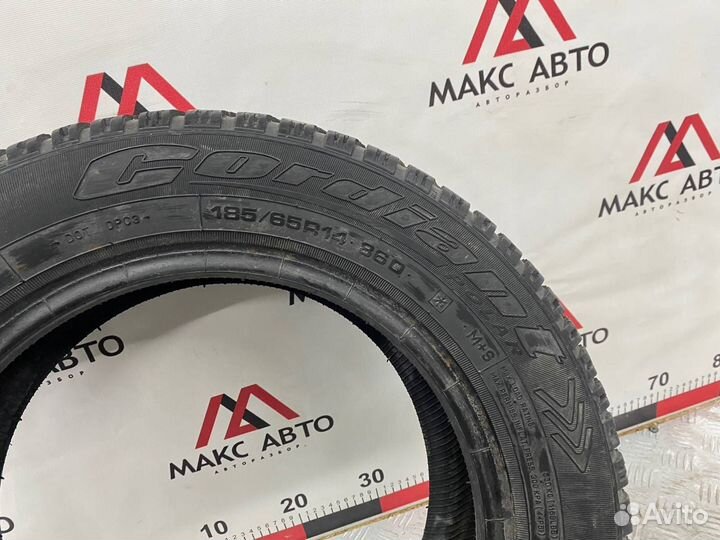 Cordiant Polar 185/65 R14