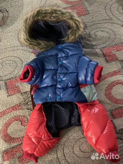 Зимний комбинезон для собак мелких пород