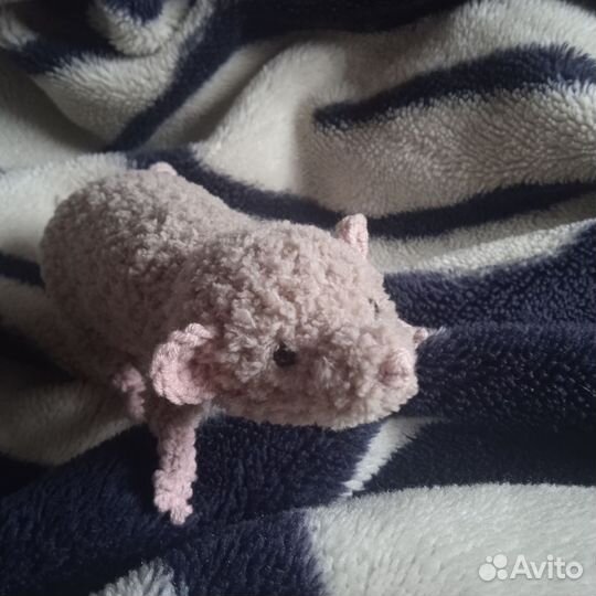Игрушки по питомцу