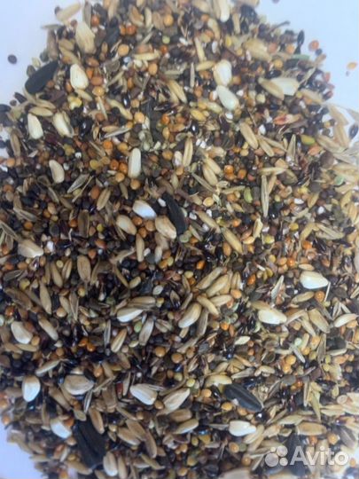 Рапс. Смесь для канареек. Семена для канареек