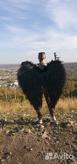 Крылья черные