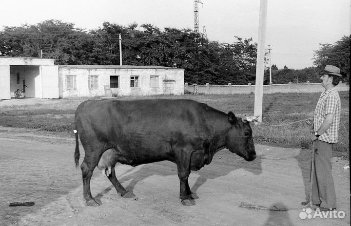 Оцифровка фотопленок,слайдов 35 мм, фотографий