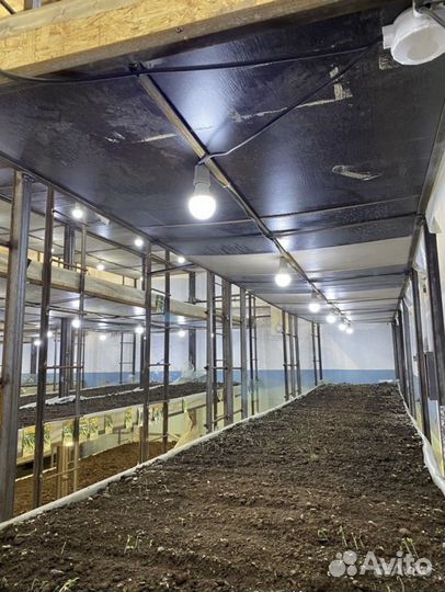 Сдам в аренду цех