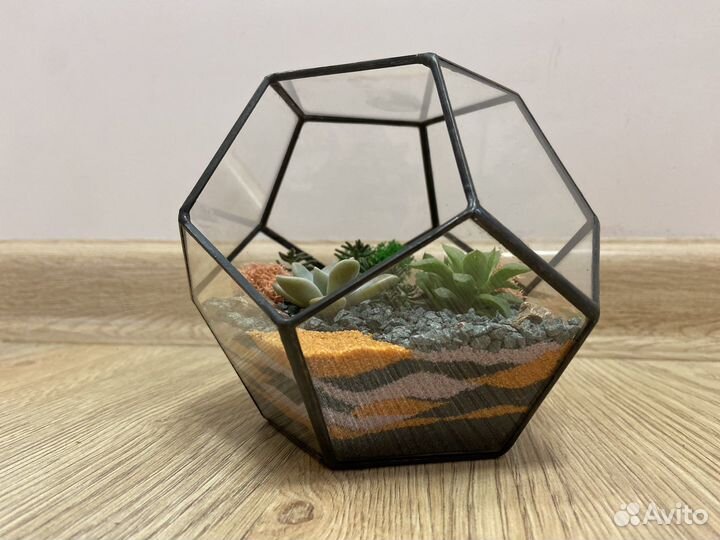Флорариум суккуленты