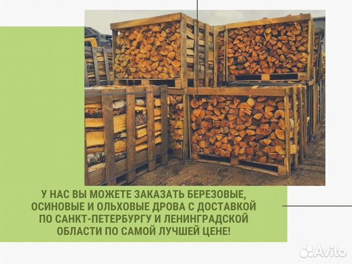 Дрова колотые березовые