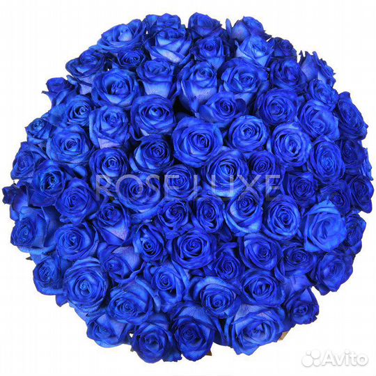 Розы 75 штук синие 60 см