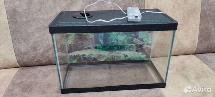 Аквариум с подсветкой