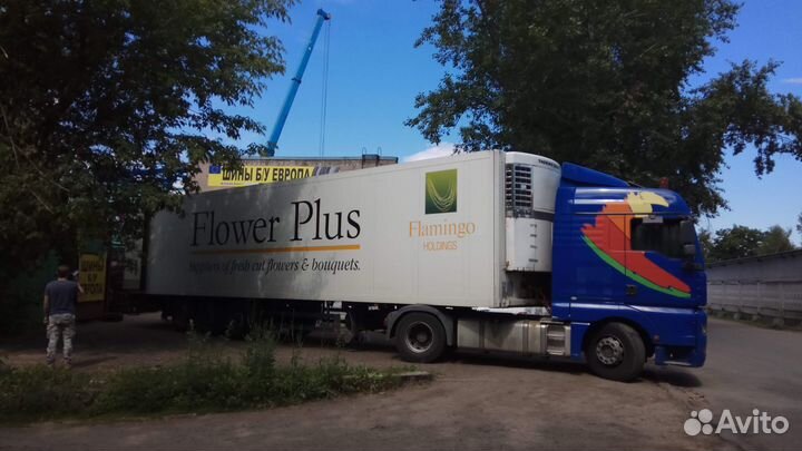 Continental ContiWinterContact TS 850 P 225/45 R18 95V