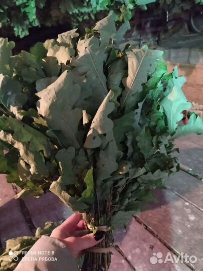 Дубовые веники для бани