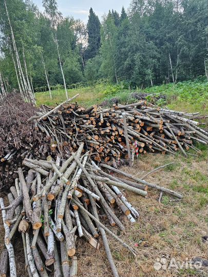 Отдам дрова бесплатно самовывоз