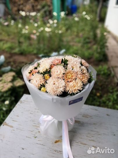 Букет цветы астры