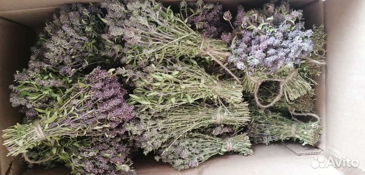 Лечебные травы