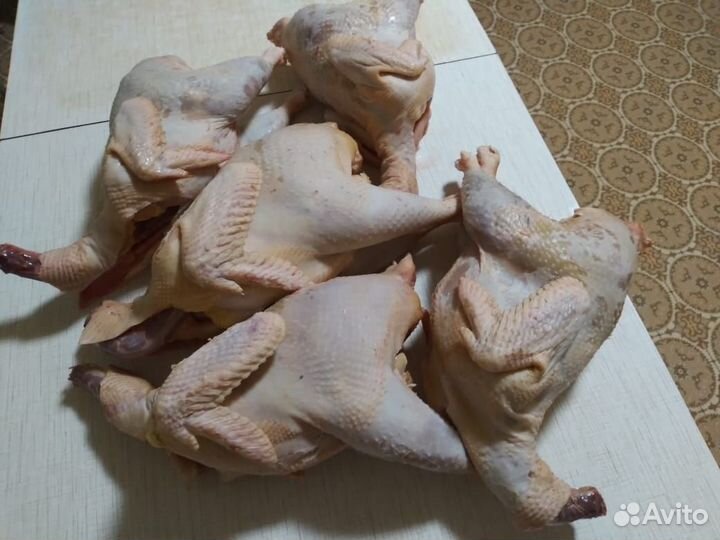 Мясо домашних кур