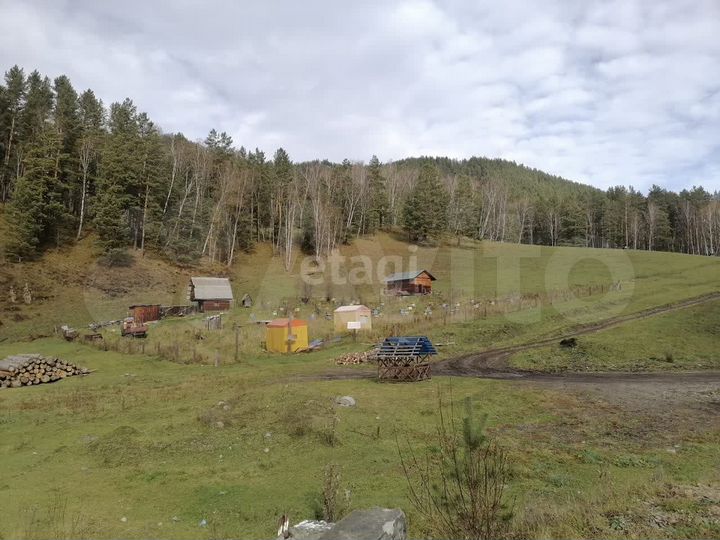 Участок 74 сот. (СНТ, ДНП)