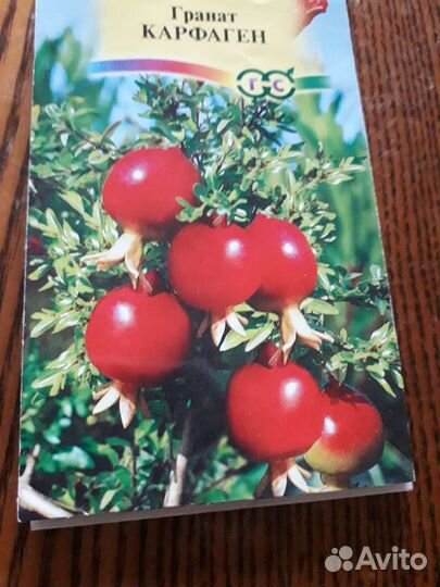 Гранат мини карфаген